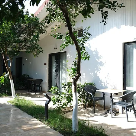 Perast Garden *