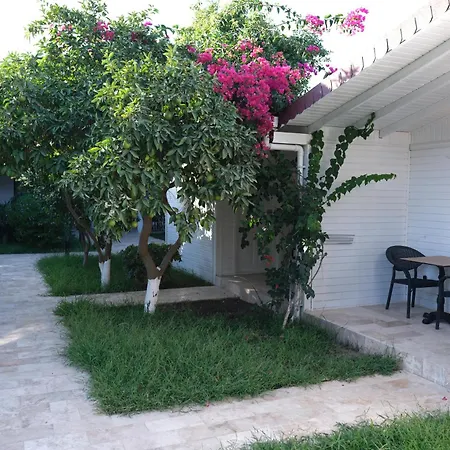 Perast Garden Hotell